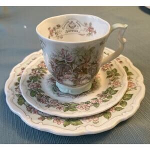 Royal Doulton Brambly Hedge Summer Tea Cup Plate Set Of 3